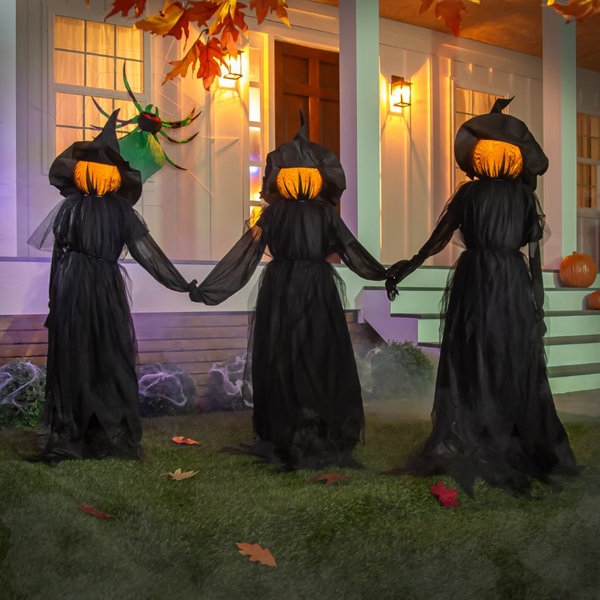 Halloween Witch | Wayfair